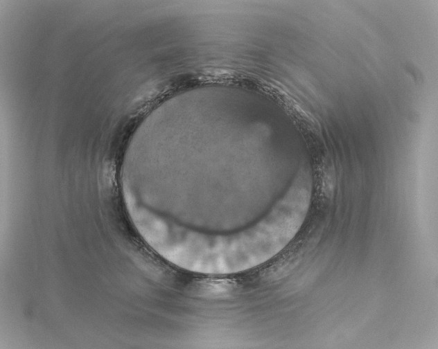 X0000115450711200911251307