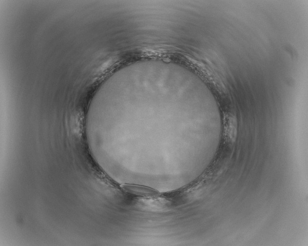 X0000115450712200911251307