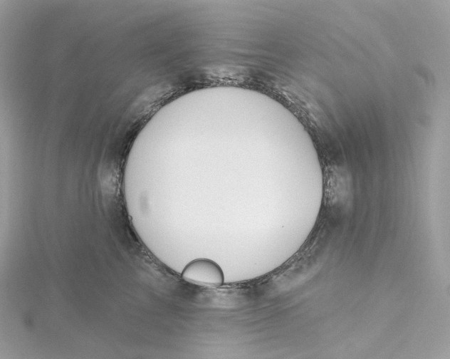 X0000115450713200911251307