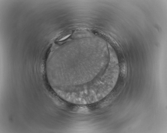 X0000115450715200911251307