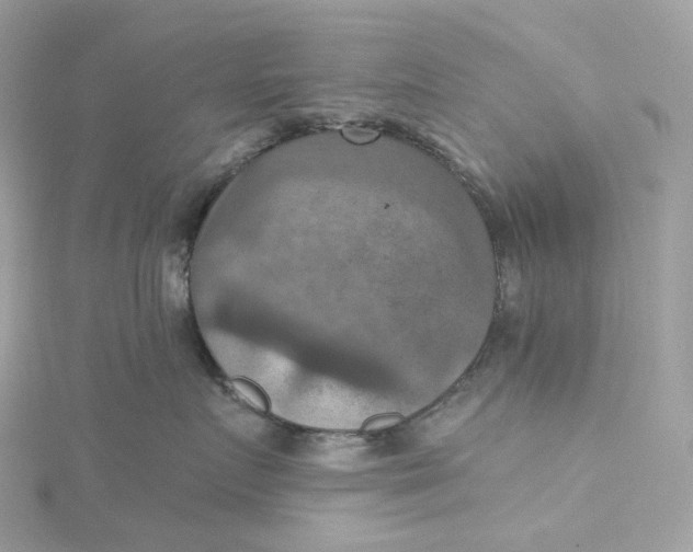 X0000115450719200911251307