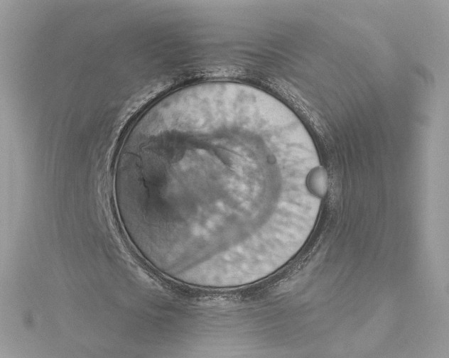 X0000115450721200911251306