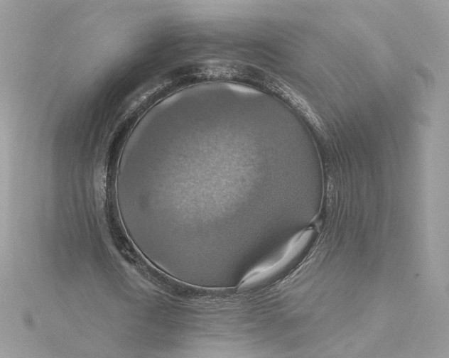 X0000115450722200911251306