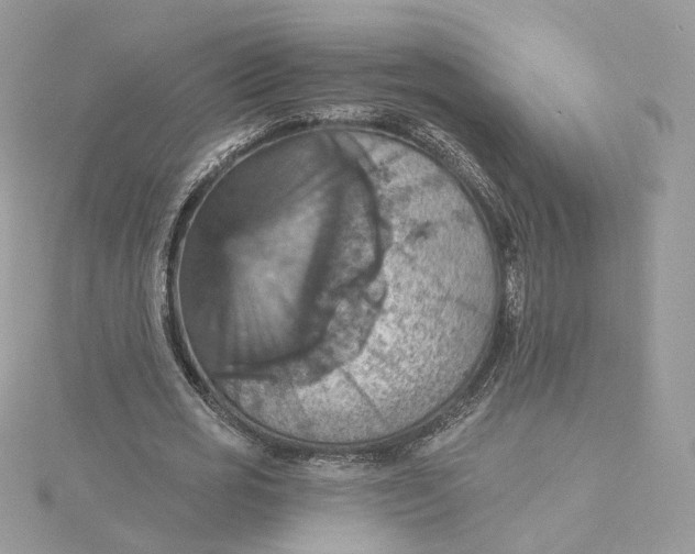 X0000115450725200911251306