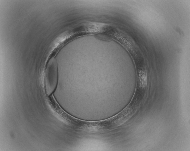 X0000115450726200911251306