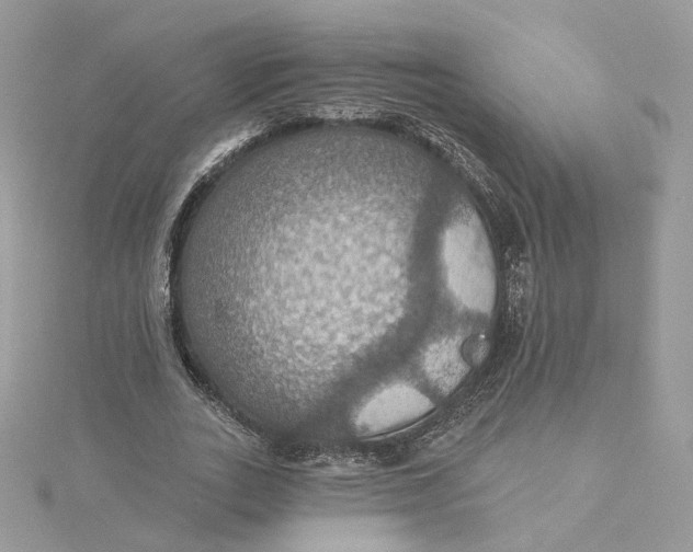 X0000115450727200911251306