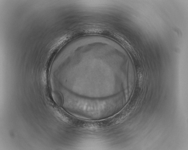 X0000115450729200911251306