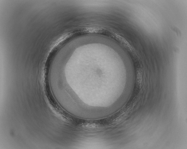 X0000115450730200911251306