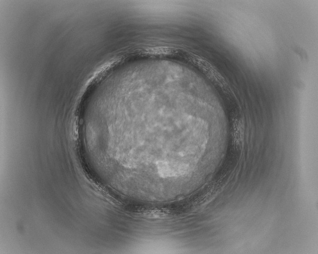 X0000115450731200911251306