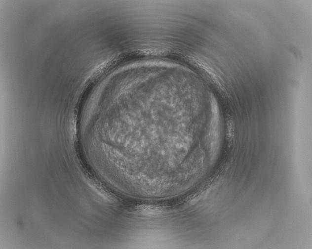 X0000115450733200911251306