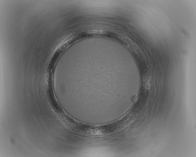 X0000115450735200911251306