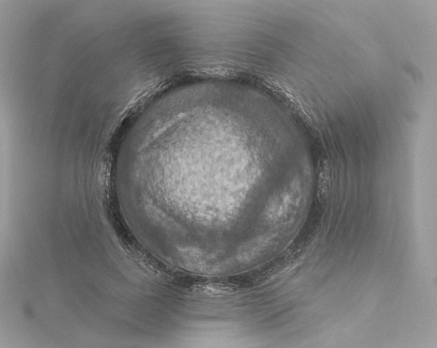 X0000115450739200911251306