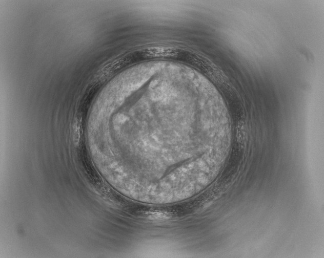 X0000115450741200911251306