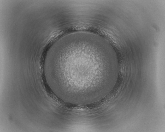 X0000115450743200911251306