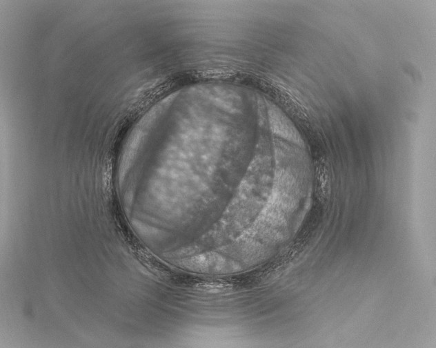 X0000115450745200911251306