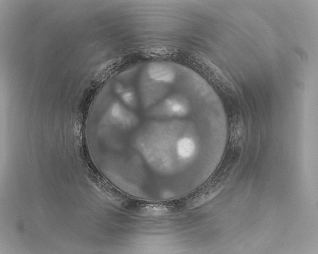 X0000115450749200911251306