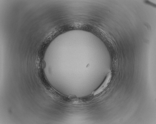 X0000115450750200911251306