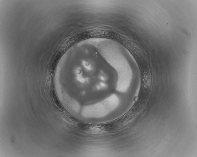 X0000115450753200911251306