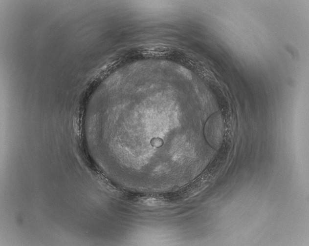 X0000115450755200911251307