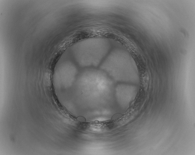 X0000115450757200911251307