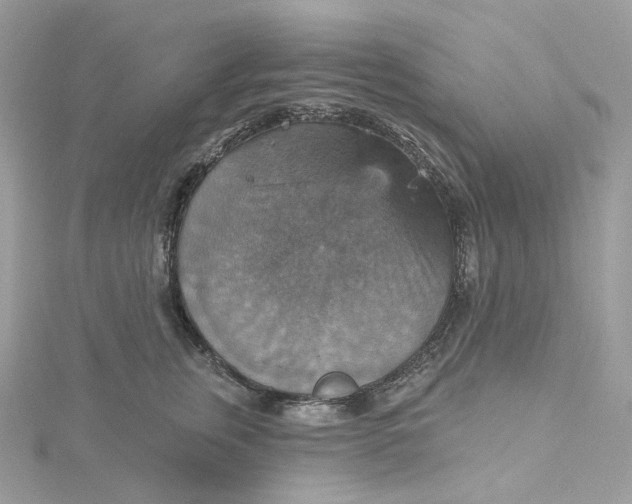 X0000115450759200911251307