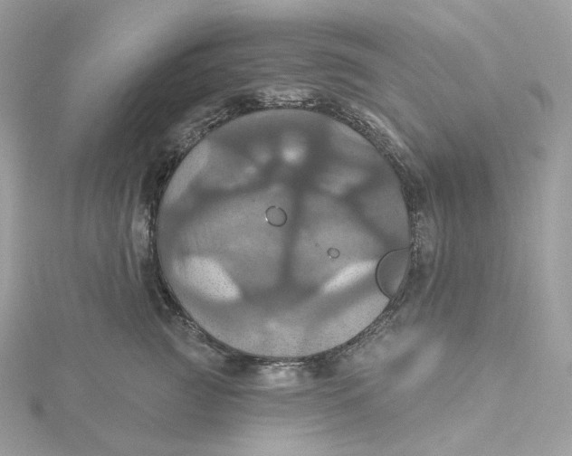 X0000115450761200911251307