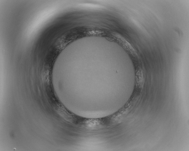 X0000115450762200911251307