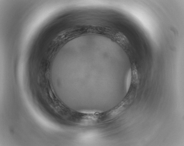 X0000115450765200911251307