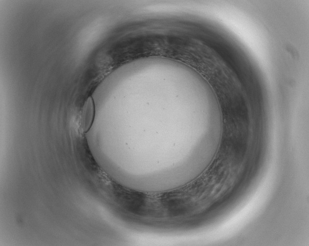 X0000115450766200911251307