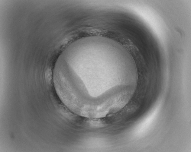 X0000115450767200911251307