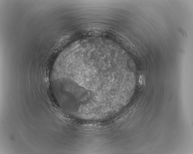 X0000115450771200911251306