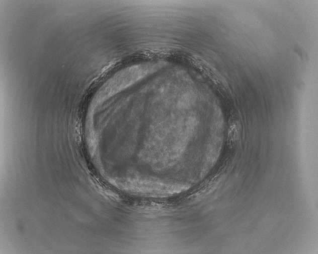 X0000115450772200911251306