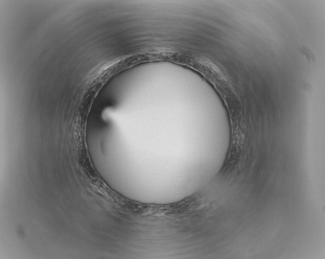 X0000115450773200911251306