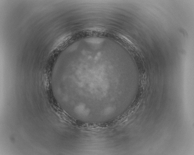 X0000115450774200911251306