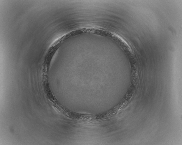 X0000115450775200911251306