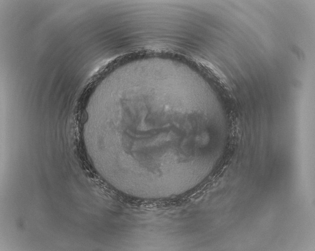 X0000115450776200911251306