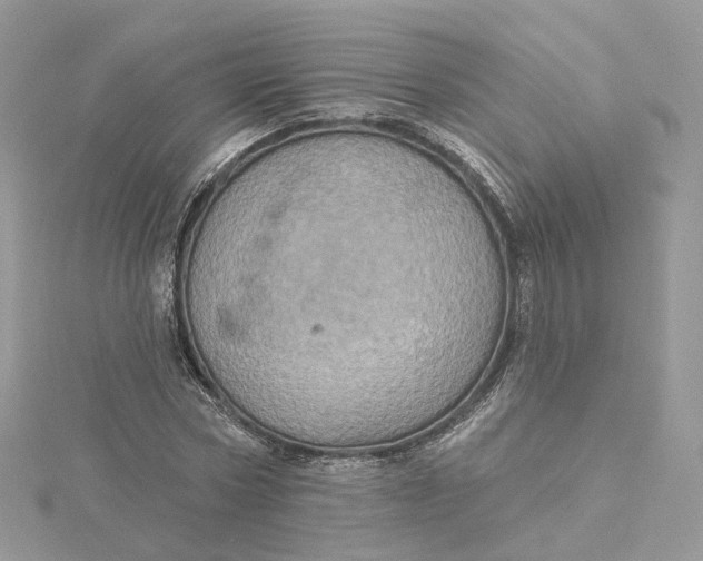 X0000115450778200911251306