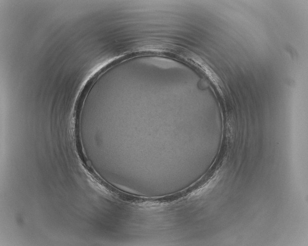 X0000115450779200911251306