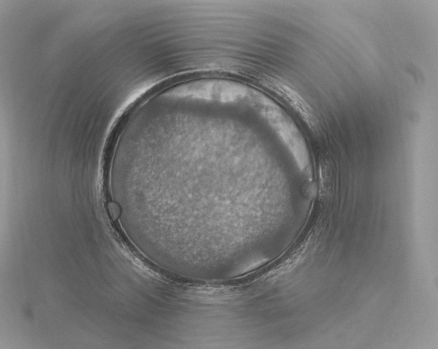 X0000115450780200911251306