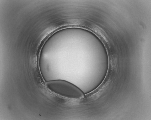 X0000115450781200911251306