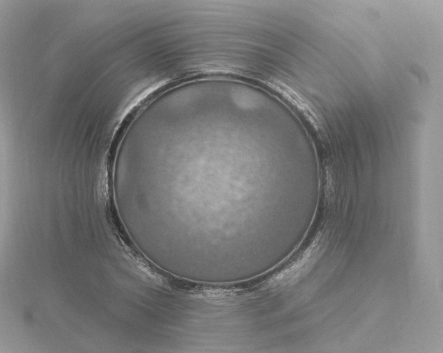 X0000115450782200911251306