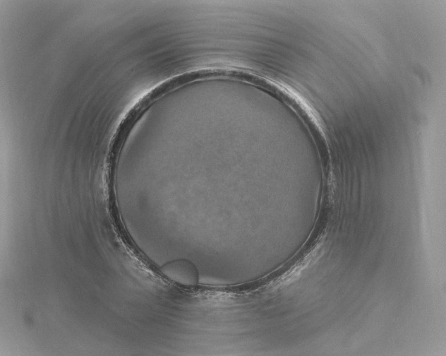 X0000115450783200911251306