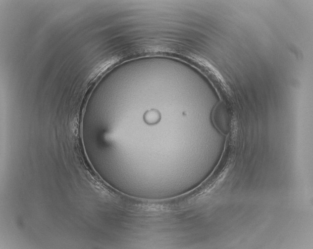 X0000115450785200911251306