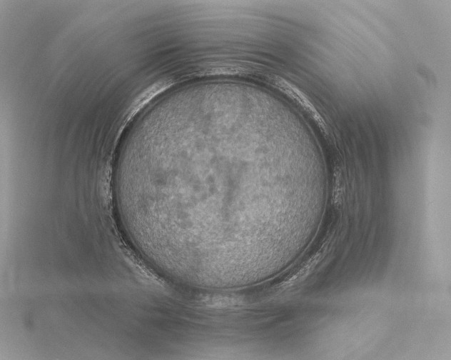 X0000115450786200911251306