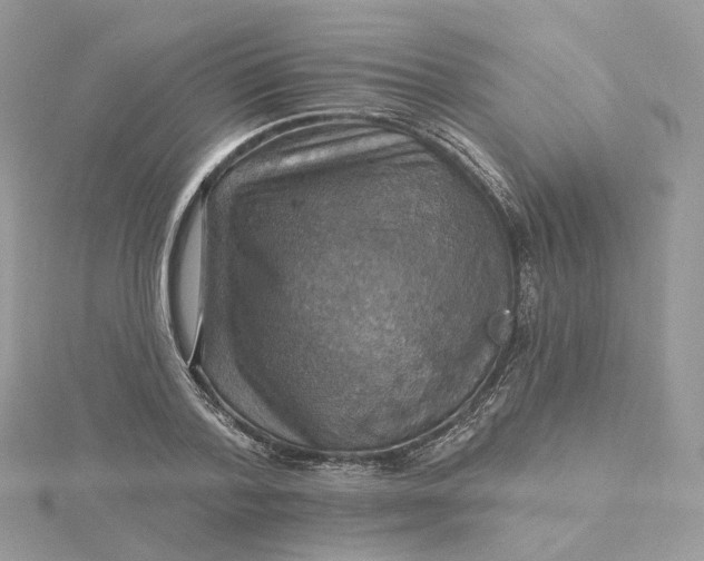 X0000115450788200911251306