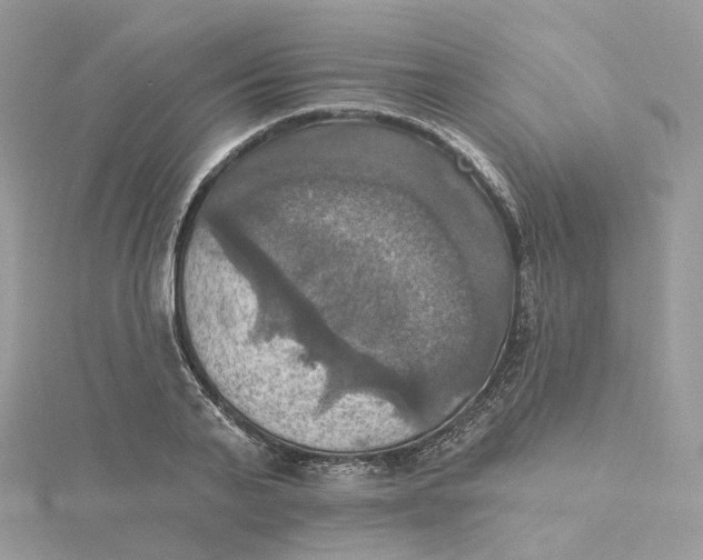 X0000115450791200911251306