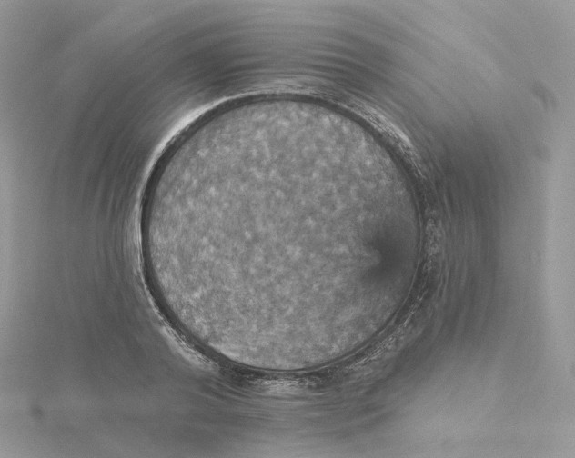 X0000115450792200911251306