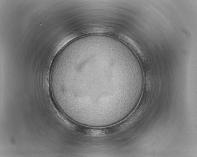 X0000115450794200911251305