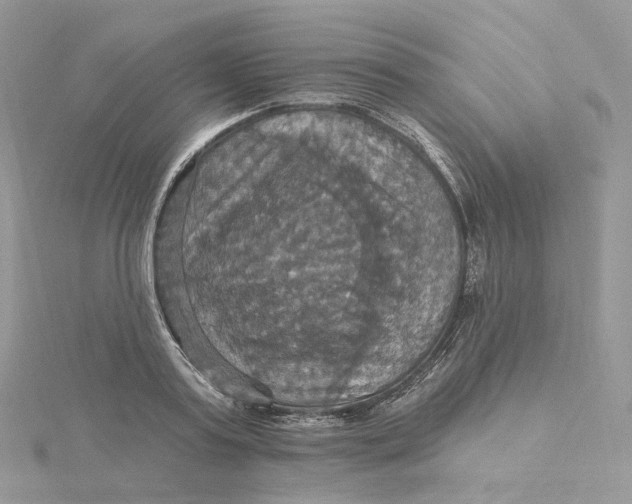 X0000115450795200911251305