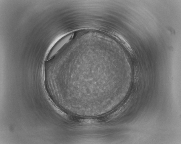 X0000115450796200911251305